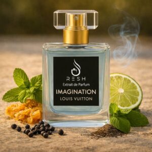 LV Imagination